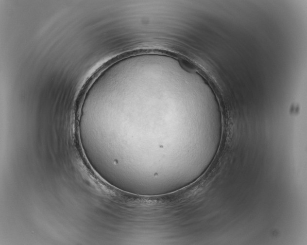 X0000111031076200907091539