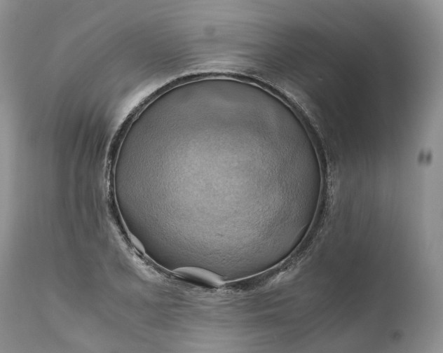X0000111031077200907091539