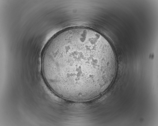 X0000111031079200907091539