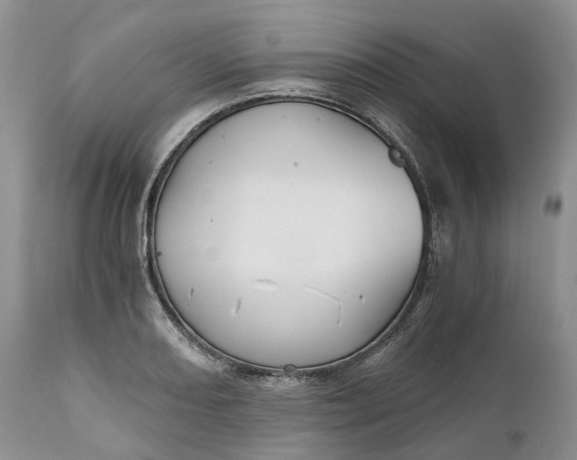 X0000111031082200907091539