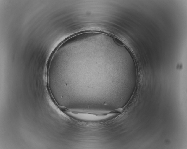 X0000111031084200907091539