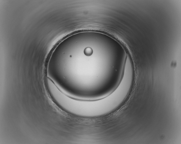 X0000111031085200907091539
