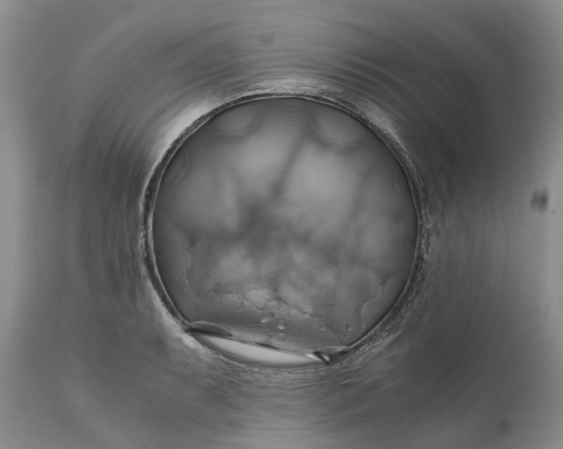 X0000111031087200907091539