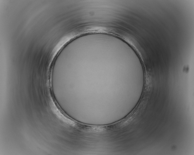X0000111031090200907091539