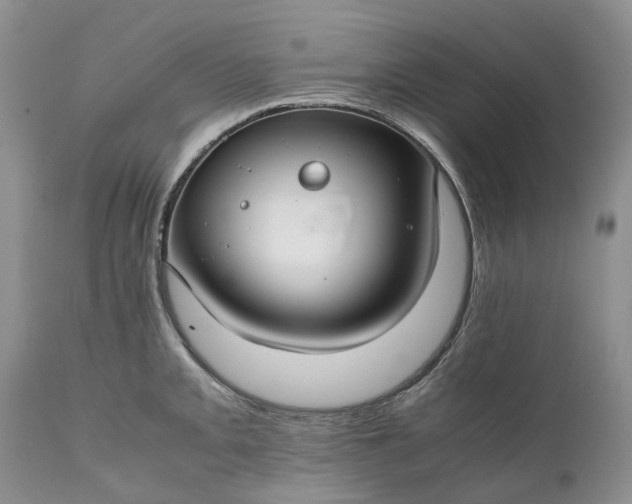 X0000111031093200907091539
