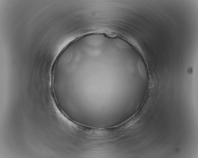 X0000111031095200907091539