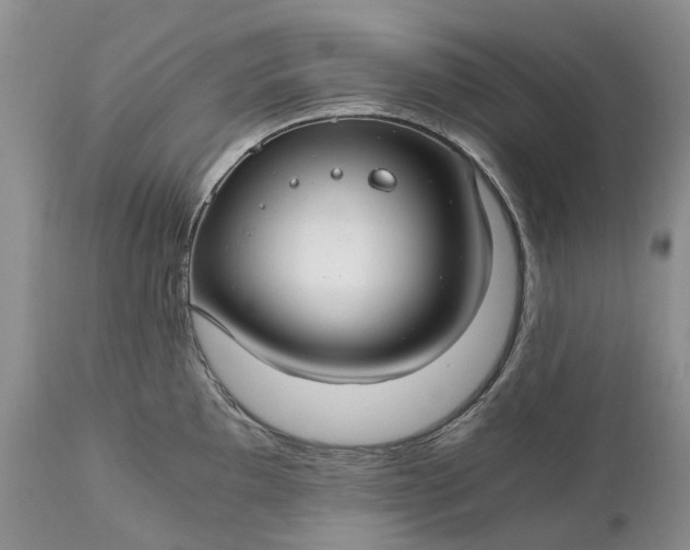 X0000111031097200907091539