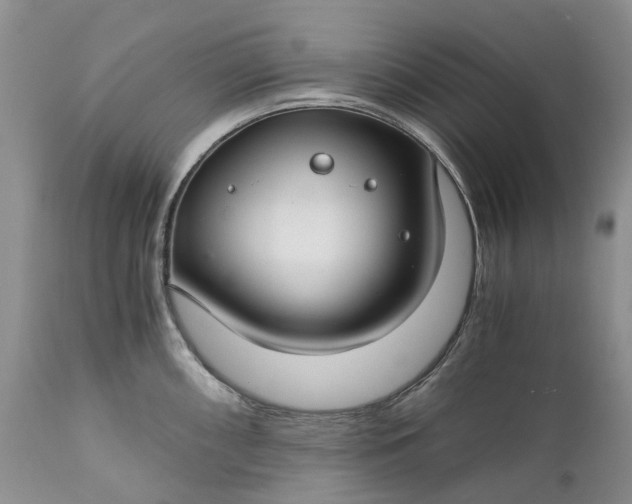 X0000111031098200907091539