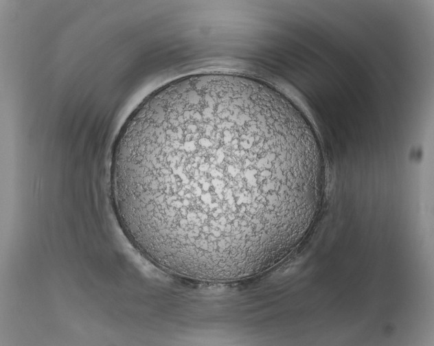 X0000111031099200907091539
