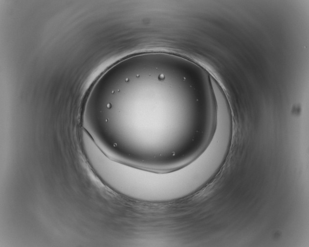 X0000111031101200907091539