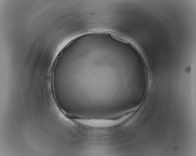 X0000111031102200907091539