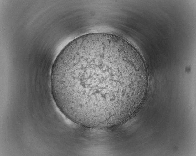 X0000111031103200907091539