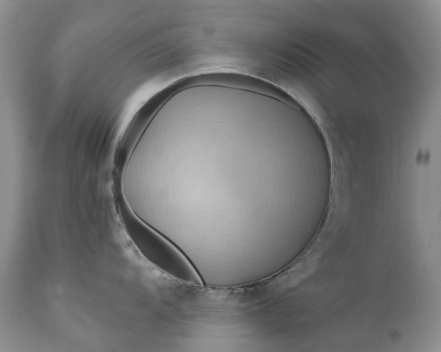 X0000111031104200907091539