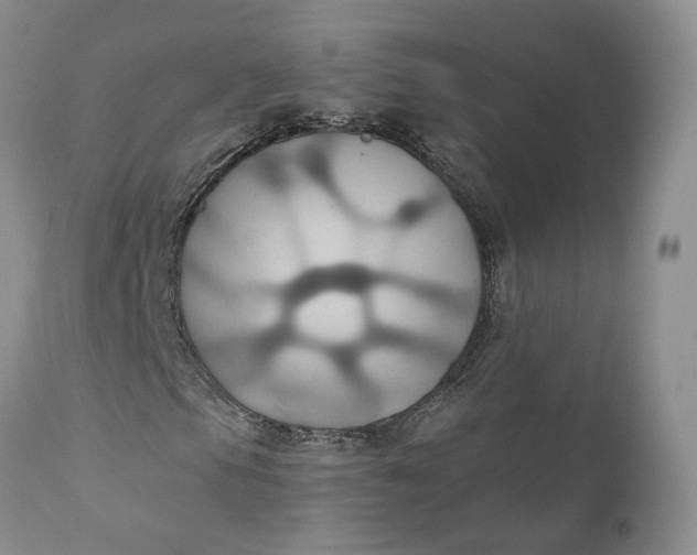 X0000111031105200907091538