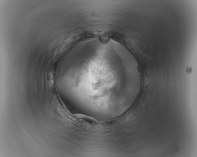 X0000111031106200907091538