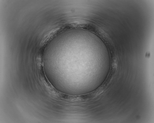 X0000111031108200907091538