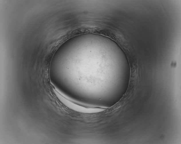 X0000111031109200907091538