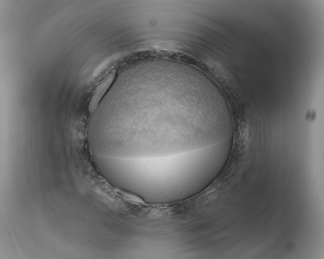X0000111031110200907091538