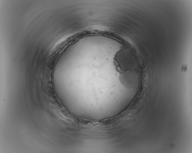 X0000111031112200907091538