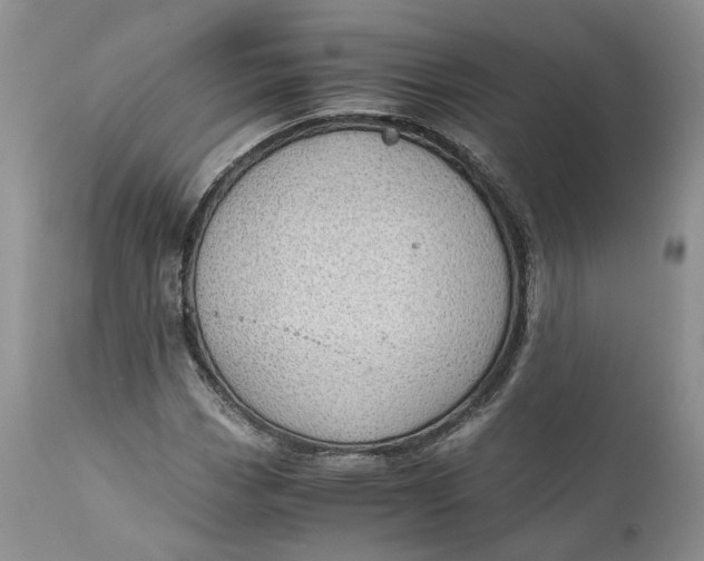 X0000111031113200907091538