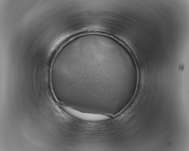 X0000111031115200907091538
