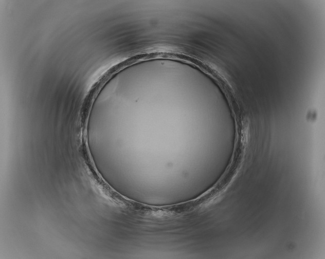 X0000111031117200907091538