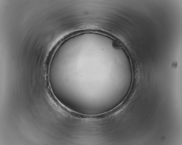 X0000111031118200907091538