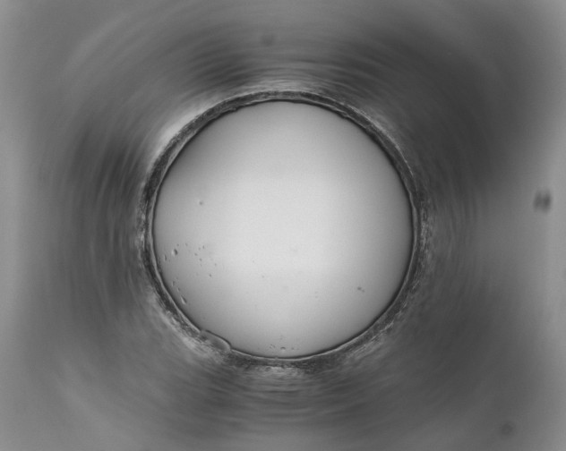 X0000111031119200907091538