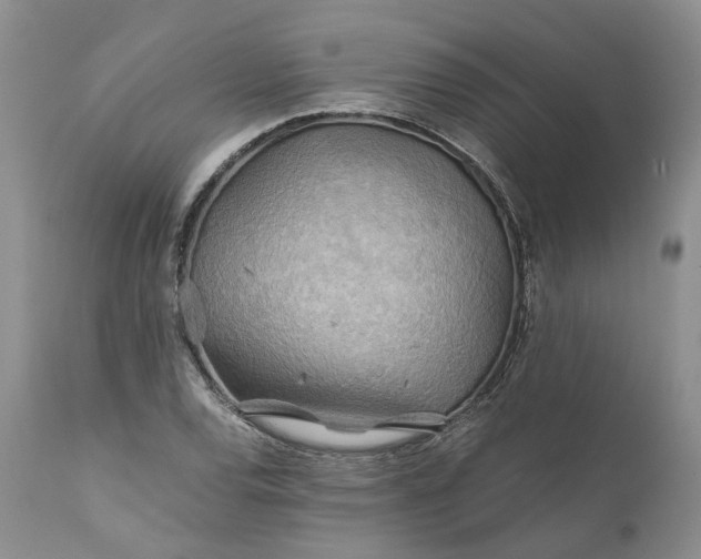 X0000111031120200907091538