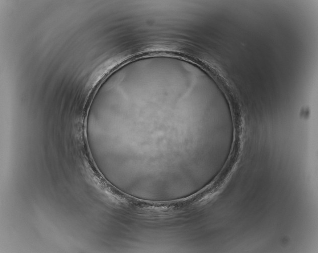 X0000111031121200907091538