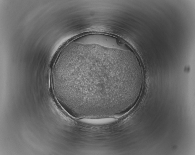 X0000111031123200907091538