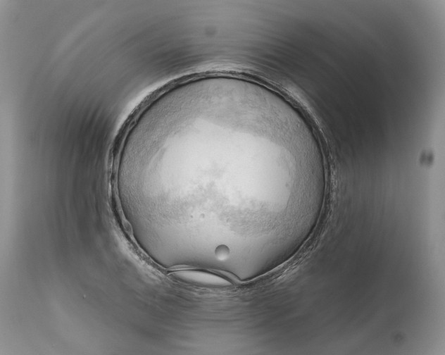 X0000111031124200907091539