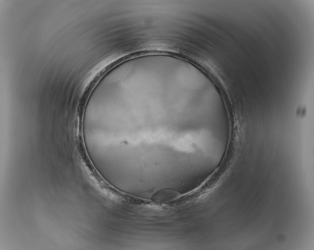 X0000111031125200907091539