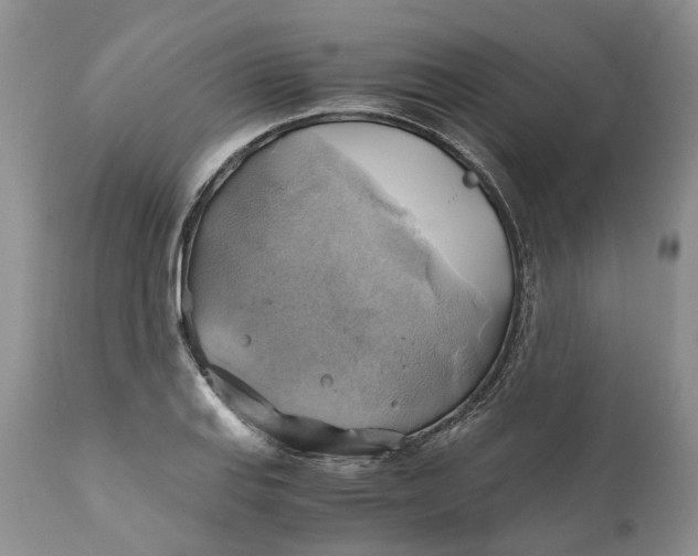 X0000111031127200907091539