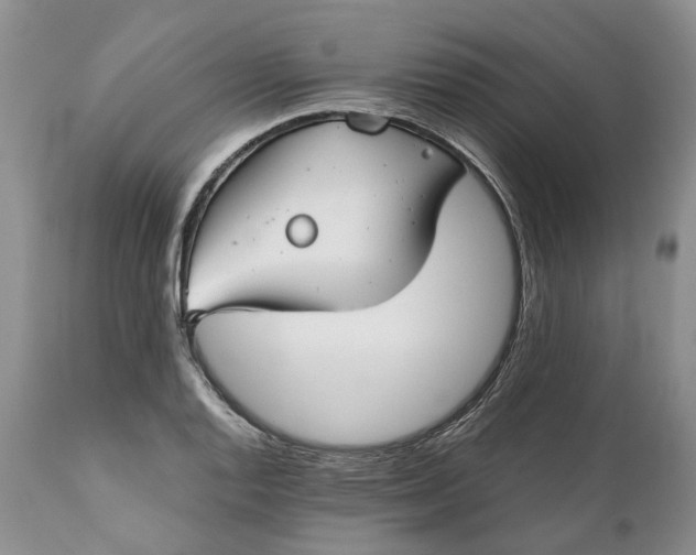X0000111031128200907091539