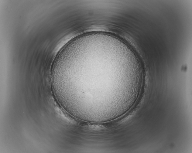 X0000111031129200907091539