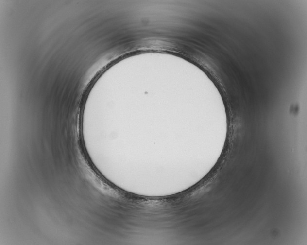 X0000111031130200907091539