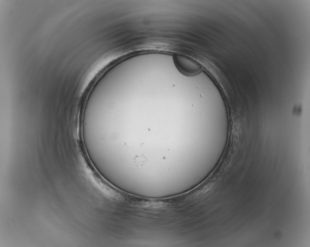 X0000111031131200907091539