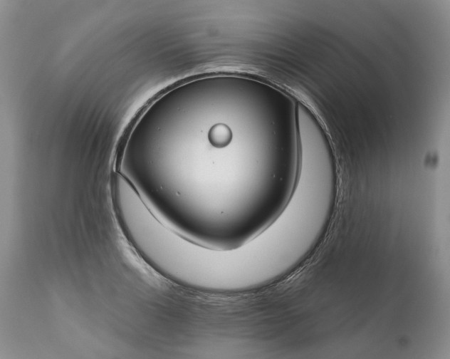 X0000111031132200907091539