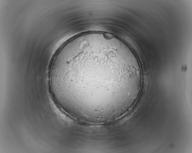 X0000111031133200907091539