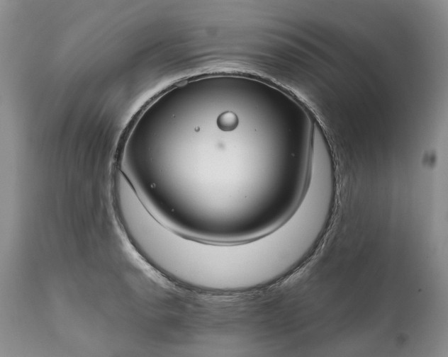 X0000111031134200907091539