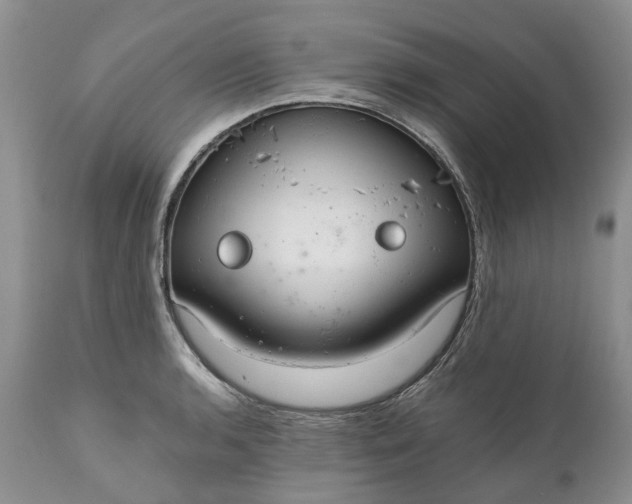X0000111031136200907091539
