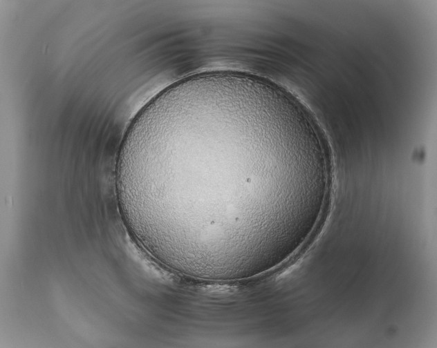 X0000111031137200907091539