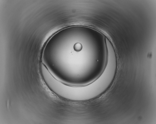 X0000111031138200907091539