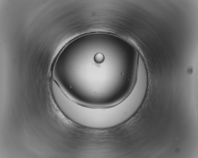 X0000111031140200907091539