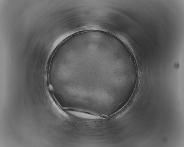X0000111031141200907091539