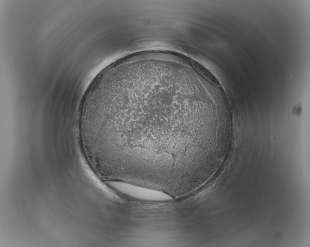 X0000111031142200907091539