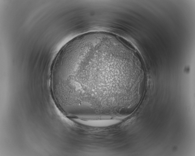 X0000111031143200907091539