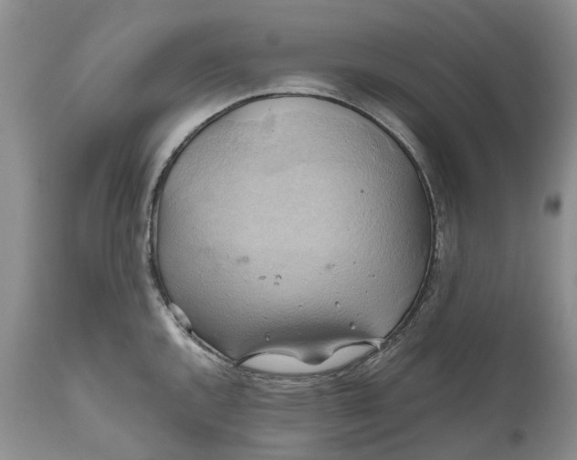 X0000111031144200907091539