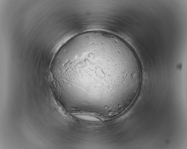 X0000111031145200907091539